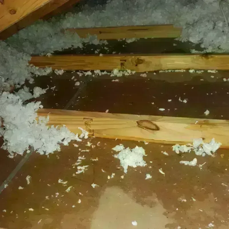 Attic Water Damage in Wayne City, IL