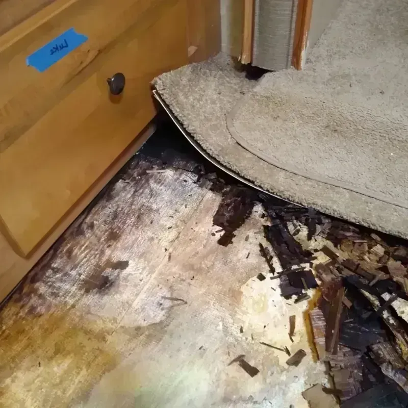 Wood Floor Water Damage in Wayne City, IL